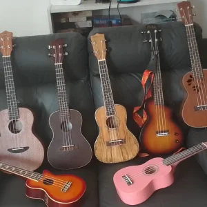 My Ukulele Family