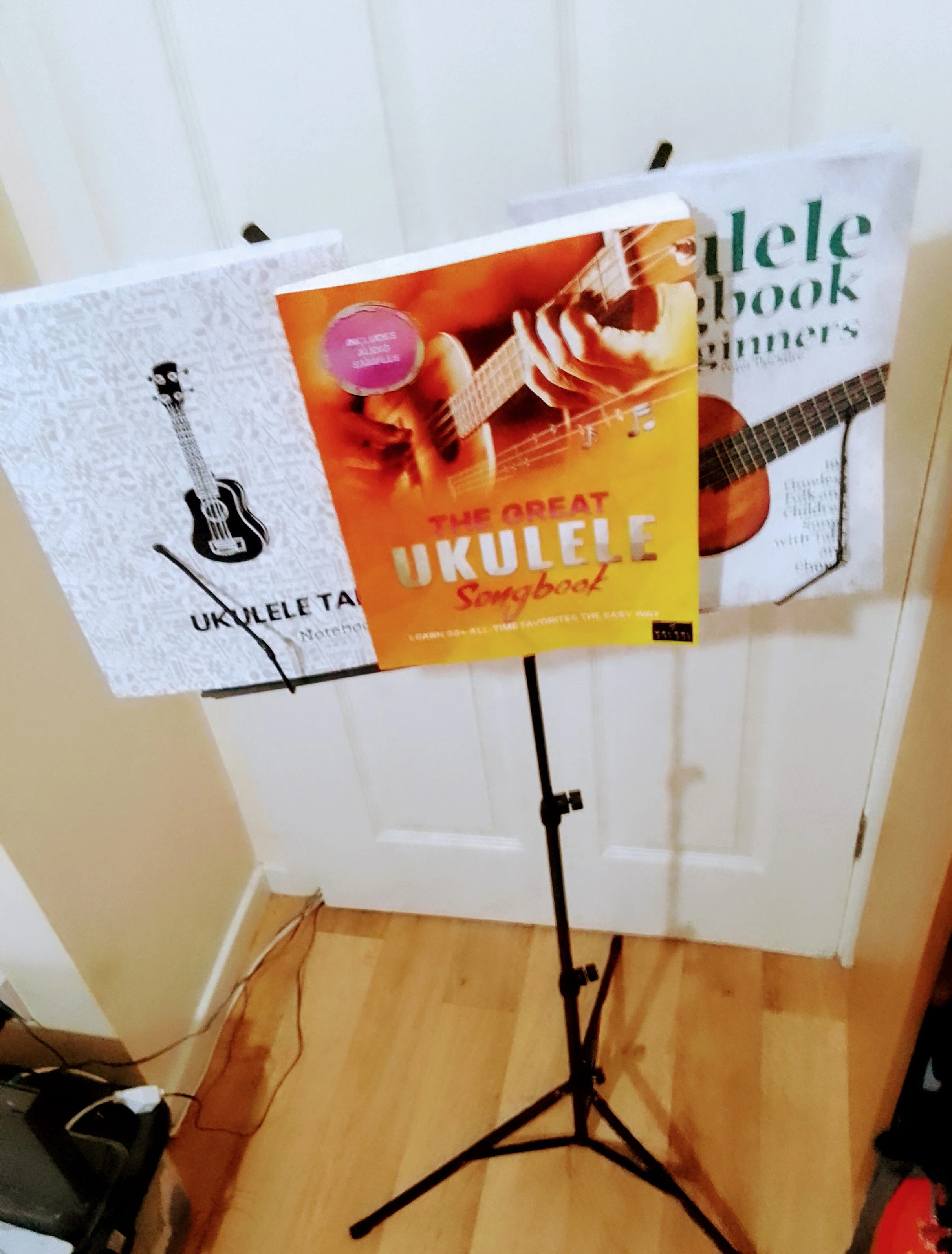 Media 'Book Stand and books.' in category 'Accessories'