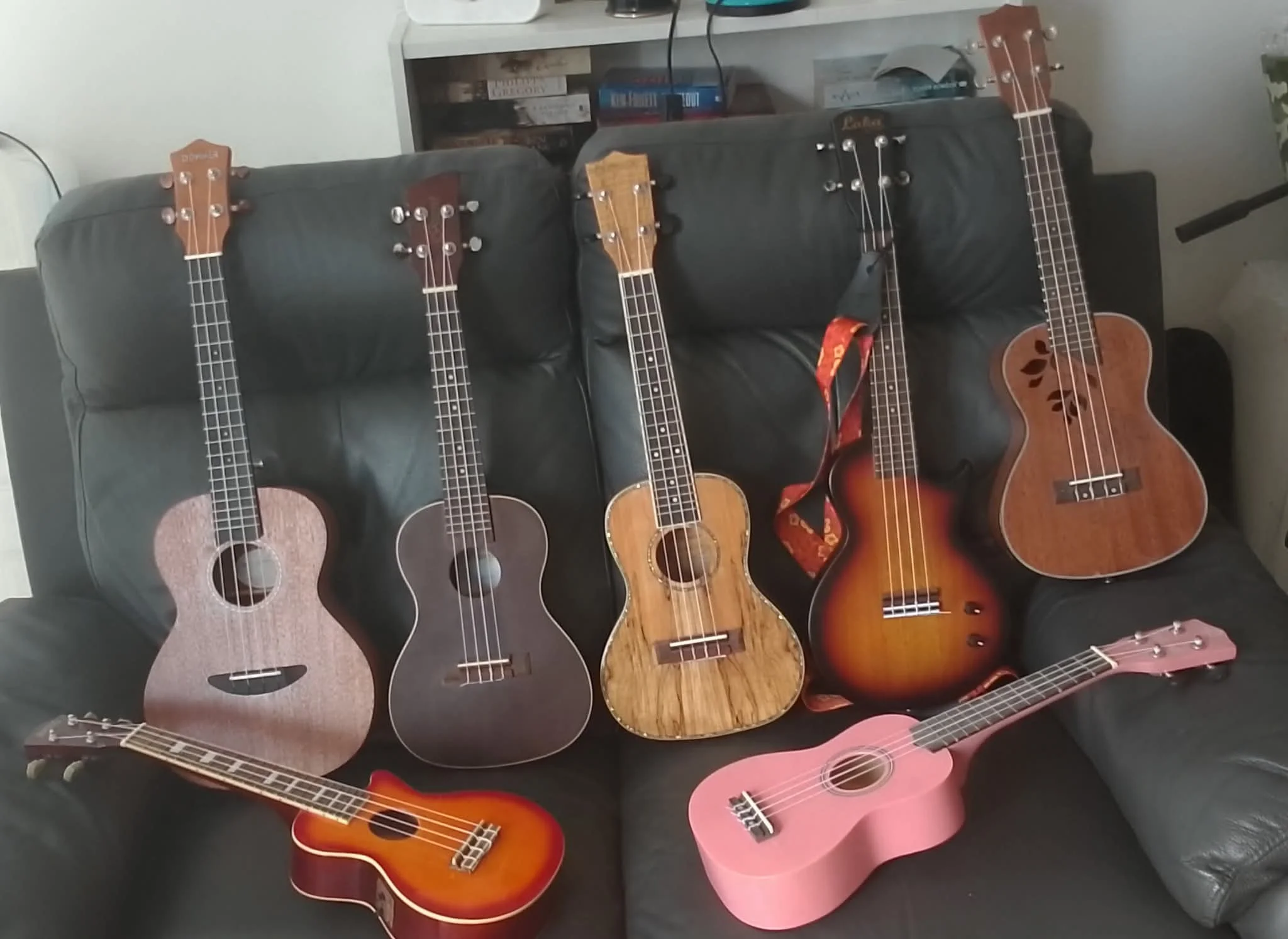 My Ukulele Family